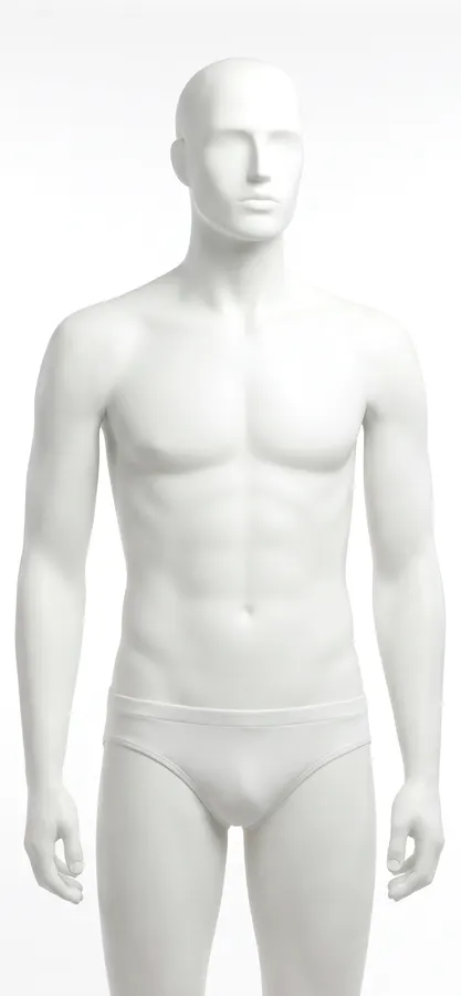 A plain white mannequin, front view